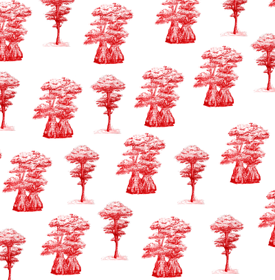 Cypress Trees digital art drawing florida illustration nature art nature illustration pattern art pattern design plant illustration red tallahassee trees