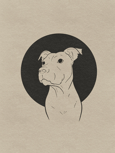 Rhea animal digitalart dog illustration pitbull procreate