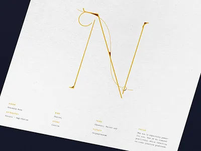 November Calendar Design | Mourning Moon astrology calendar calendar design illustration mourning moon scorpio typography