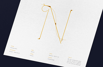 November Calendar Design | Mourning Moon astrology calendar calendar design illustration mourning moon scorpio typography