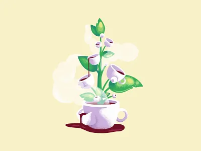 How does coffee grow bean coffee cup illustration leaf plant