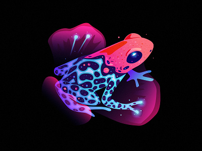 frog dream fantasy light frog space