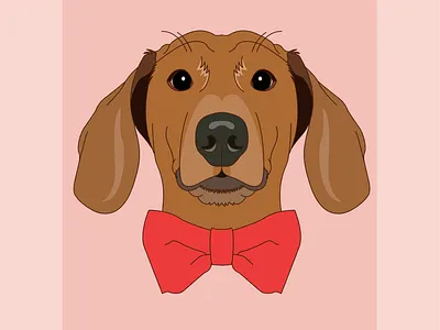 Morty design digital illustration dog illustration illustrator lineart weiner dog
