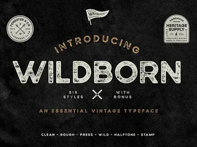 Wildborn Vintage Sans Serif Font branding download font font font design fonts graphic design lettering retro font retro fonts sans sans serif sans serif font typeface typeface design typefaces typography vintage font vintage fonts vintage lettering vintage typeface