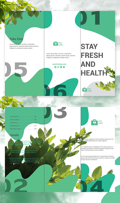 Stay Fresh brochure brochure design businesscard design green ui ux web