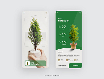 Flower and plant identification app app flower flower app plantapp plantui ui ux