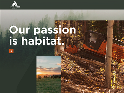 Specialized Land Management - website, passion art direction conservation environmental habitat nature ui ux website