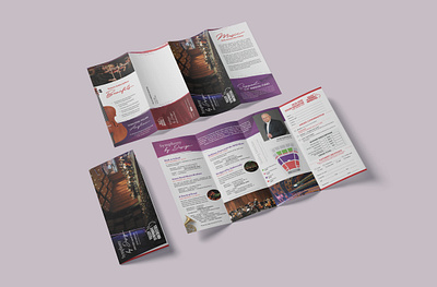 VSO 2019-20 Membership Brochure brochure brochure design design layout design non profit print print design