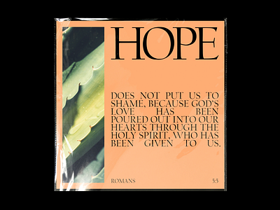 Hope Scripture adobe illustrator bible bible design bible study bible verse brand cactus church creative church graphicdesign logo photo photography photoshop photoshop art romans scripture type typography vector