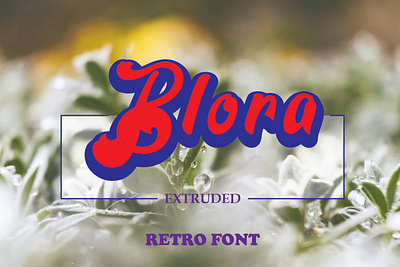 Blora Font Family blora extrude blora shadow