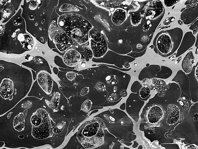 Hello World animation branding craft design firstshot hello world illustration marble minimal photography suminagashi