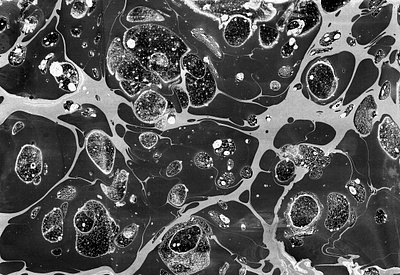 Hello World animation branding craft design firstshot hello world illustration marble minimal photography suminagashi