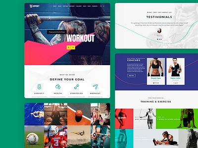 Sport WordPress Theme - Features branding design landing page logo page builder plugins portfolio responsive site builder slider template theme web design web development wordpress