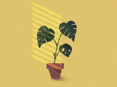 Afternoon breeze afternoon illustration light plant plant illustration