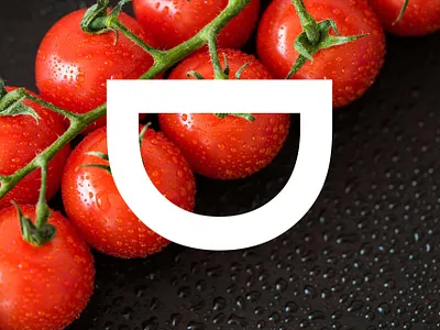 Bocademia Creativity brand branding design logo logotype typography