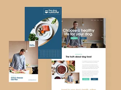 The Dog Nutritionist - Final Identity branding dog dog nutrition email icon logo logo designer logomark logos pet business typography ui website design