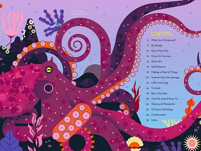 Octopus animal childrens book digital education folioart illustration nature owen davey science