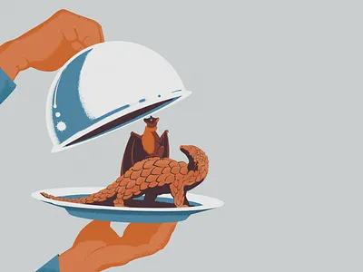 Bon appetit animal art artwork bat coronavirus covid 19 covid19 design digitalillustration drawing epidemic flyingfox graphicdesign illustration illustrator pandemic pangolin photoshop vector virus