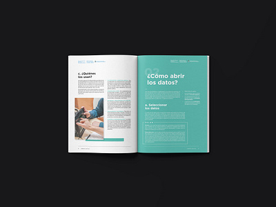 Editorial Collection | Abriendo el Gobierno | LABgobar book booklet booklet design branding data editorial editorial design editorial layout government layout design magazine minimal open data typography