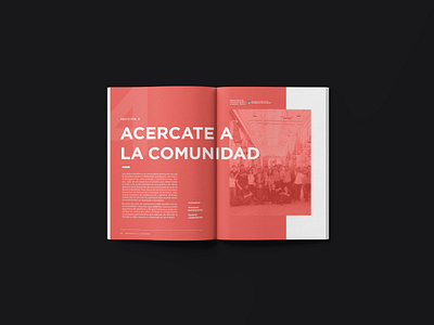 Editorial Collection | Abriendo el Gobierno | LABgobar book booklet booklet design branding community editorial editorial design editorial layout government grid layout magazine magazine design minimal minimalistic typography