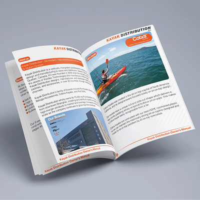 Brochure example branding brochure brochure design brochure mockup design graphic design