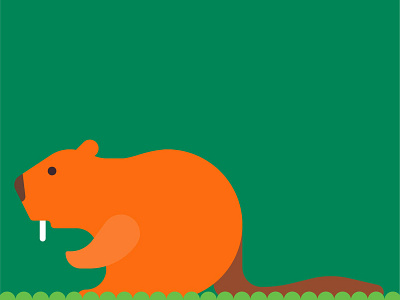 Beaver animals color design editorial flat flat design graphic illustration nature vector