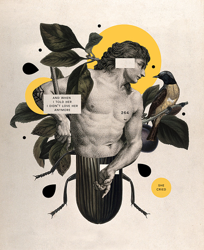 She Cried animals collage illustration plants