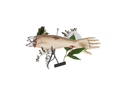 Transplante de brazo body collage illustration plants