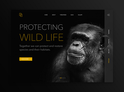 wild life_web animals app blackletter concept dark dark ui encyclopedia forest landing page national park nature neomorphism portfolio trending trendy ui webdesign website wildlife yellow