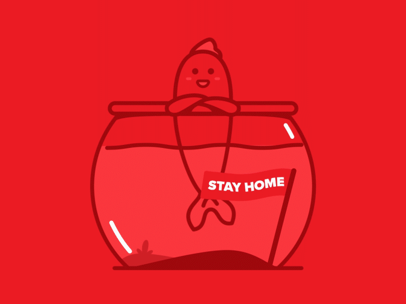 poisson avril aftereffects flatdesign illustration illustrator