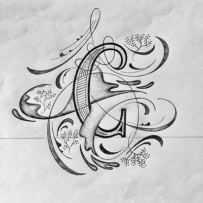 C flourishes illustration lettering script