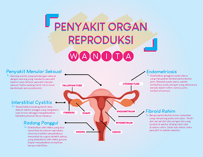 Penyakit Organ Reproduksi Wanita [Infografis] adobe illustrator design edit flat indonesia infografis infographic jakarta smkn 48 jakarta vector