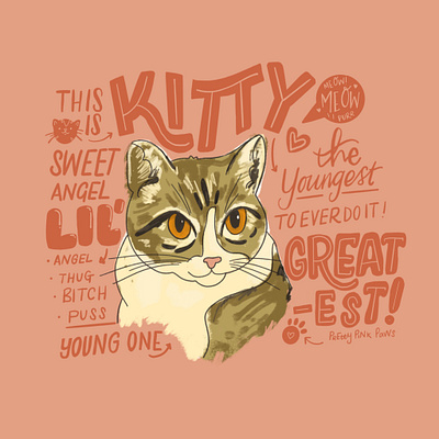 Kitty HOMwork - Pet Illustration animal illustration animals cats hand drawn hand lettering herekittykitty homwork illustration kitty lettering nicknames pet portrait type typography