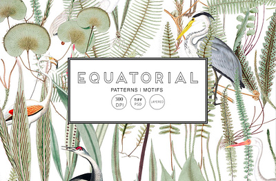 Equatorial Patterns Set for Adobe Photoshop animal animals art artwork branding design drawing drawings floral graphic graphic design graphics illustration illustrations pattern patterns photoshop plant plants vector graphics