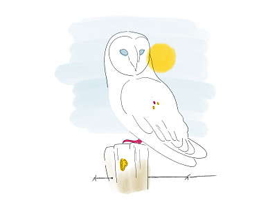 Owl on Farm drawing drawing style farm farmlife hand drawn illustration ipad pro minimal owl procreate procreate app womenofillustration womenwhodraw