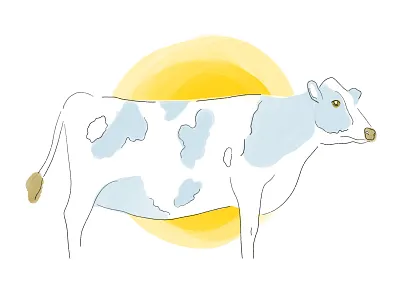 Cow in Sunrise analog cow cowboy drawing drawing style farm farming hand drawn illustration ipad pro minimal procreate sun sunrise travel womenofillustration womenwhodraw