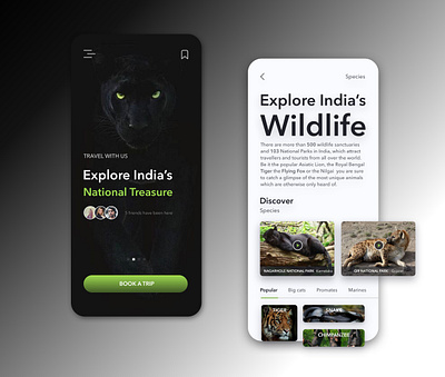 WILDLIFE MOBILE animal animals button concept dark ui design explore mobile app design mobile ui national park nature neomorphism trending trendy ui uidesign video white wild animal wildlife