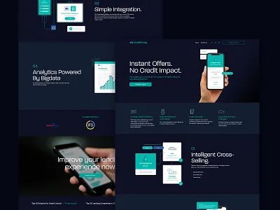 CreditSnap Design branding content design icon illustration infographics layout logo ui webdesign