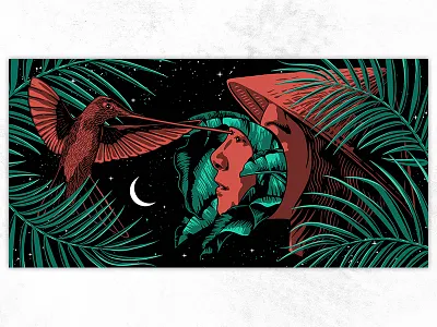 Hummingbird bird illustration design digital art digital illustration drawing graphicdesign hand drawn human hummingbird illustration leafs moon nature art night stars vectorart wings