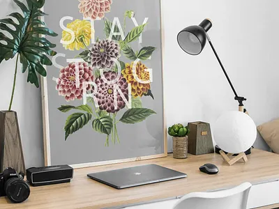 Stay Strong branding colors design flowers flowers illustration gardens illustration illustration art typography