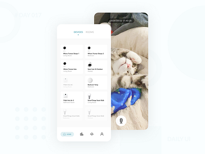 Daily UI 017 - Smart Home Pet Camera camera dailyui device iot pet smarthome