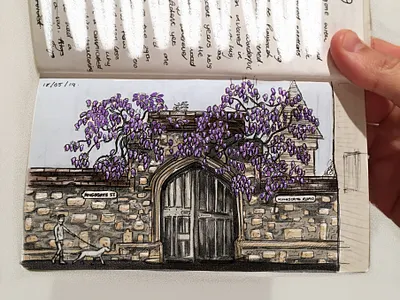 Kingsgate castle drawing england gate wisteria