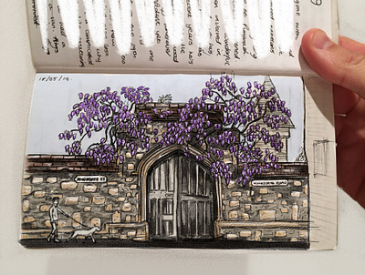 Kingsgate castle drawing england gate wisteria