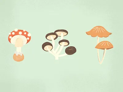 Mushrooms botanical color digital illustration mushrooms nature nature art