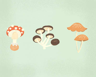 Mushrooms botanical color digital illustration mushrooms nature nature art