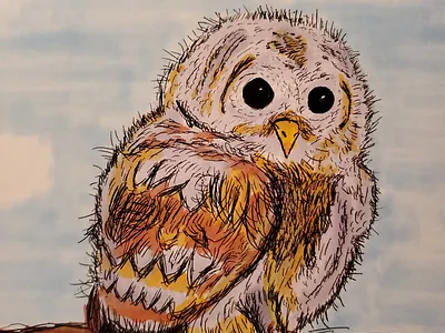 Hootbert copicmarkers drawings hand drawn sketches