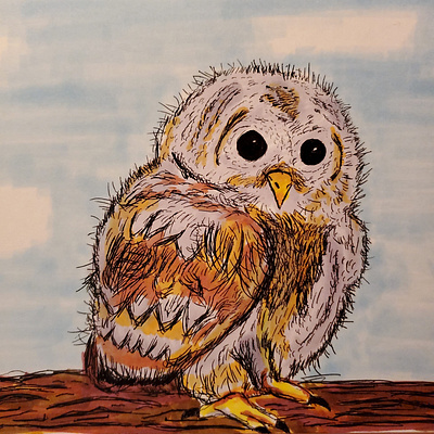 Hootbert copicmarkers drawings hand drawn sketches