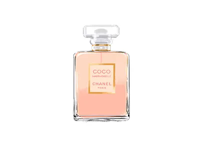 Chanel Perfume Bottle adobe photoshop beauty beauty editorial digital drawing editoral fashion fashion illustration illustration magazine illustration packaging perfume perfume bottle press illustration product illustration