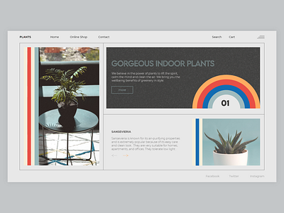 PlantShop colors online shop plants ui ux