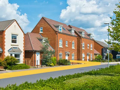 Fundroots - Campaign Imagery advertising branding campaign design identity imagery